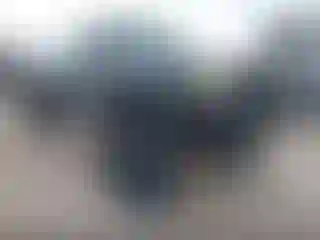 Vehicle Image- 2003 Chevrolet Silverado