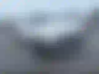 Vehicle Image- 2006 Chevrolet Silverado