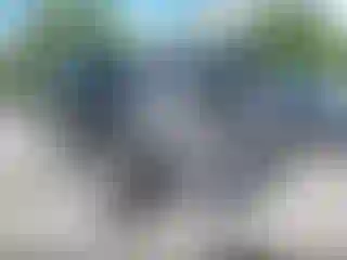 Vehicle Image- 2005 Chevrolet Silverado