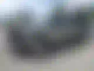 Vehicle Image- 2006 Chevrolet Silverado