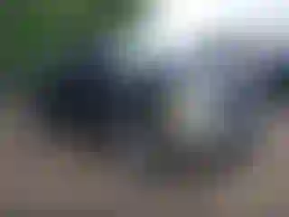 Vehicle Image- 2008 Chevrolet Silverado