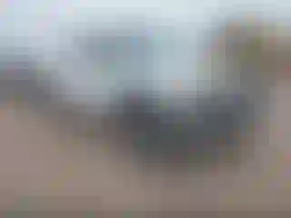 Vehicle Image- 2003 Chevrolet Silverado