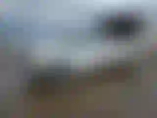 Vehicle Image- 1999 Chevrolet GMT-400