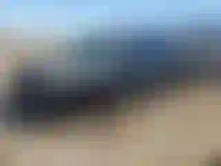 Vehicle Image- 2003 Chevrolet Silverado