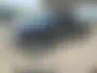 Vehicle Image- 2004 Chevrolet Silverado