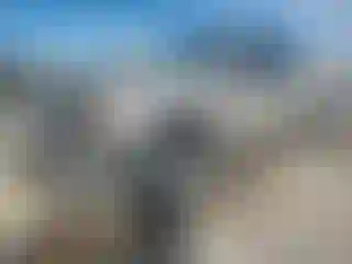 Vehicle Image- 2005 Chevrolet Silverado