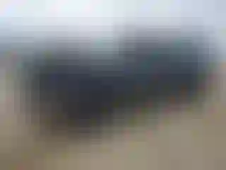 Vehicle Image- 2006 Chevrolet Silverado