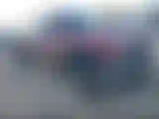 Vehicle Image- 2006 Chevrolet Silverado