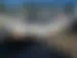 Vehicle Image- 2008 Chevrolet Silverado