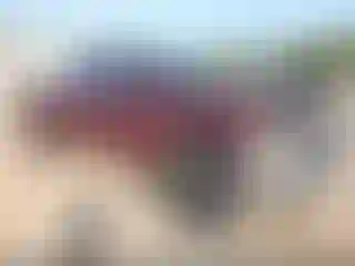 Vehicle Image- 2008 Chevrolet Silverado