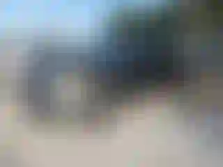 Vehicle Image- 2008 Chevrolet Silverado