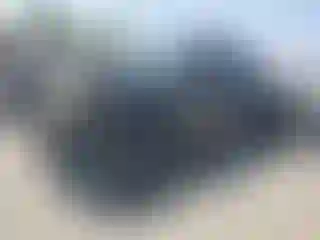 Vehicle Image- 2007 Chevrolet Silverado