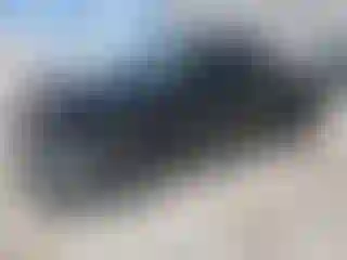 Vehicle Image- 2004 Chevrolet Silverado