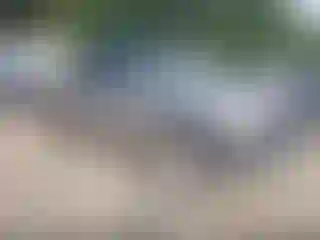 Vehicle Image- 2002 Chevrolet Silverado