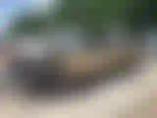 Vehicle Image- 2004 Chevrolet Silverado
