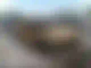 Vehicle Image- 2006 Chevrolet Silverado