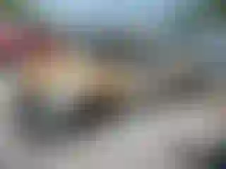 Vehicle Image- 2006 Chevrolet Silverado