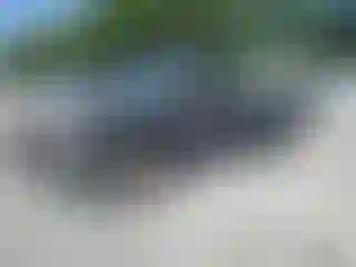 Vehicle Image- 2004 Chevrolet Silverado