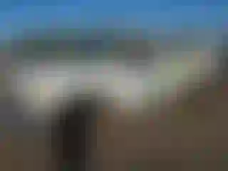 Vehicle Image- 2008 Chevrolet Silverado