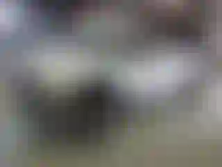 Vehicle Image- 2004 Chevrolet Silverado