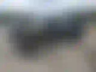 Vehicle Image- 2002 Chevrolet Silverado