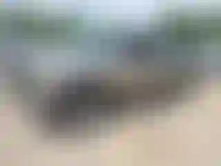 Vehicle Image- 2002 Chevrolet Silverado