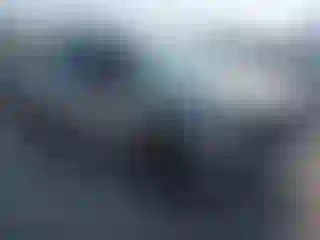Vehicle Image- 2006 Chevrolet Silverado