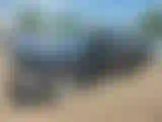 Vehicle Image- 2005 Chevrolet Silverado