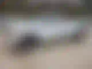 Vehicle Image- 2008 Chevrolet Silverado