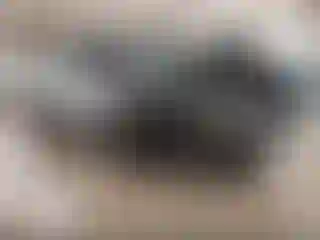 Vehicle Image- 2025 Chevrolet Silverado