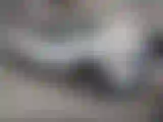 Vehicle Image- 2011 Chevrolet Silverado