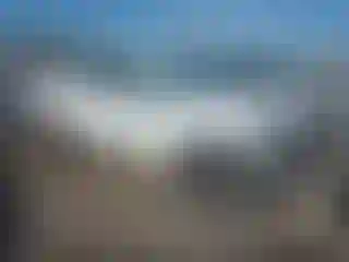 Vehicle Image- 2024 Chevrolet Colorado