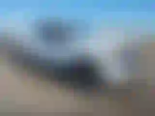 Vehicle Image- 2024 Chevrolet Colorado