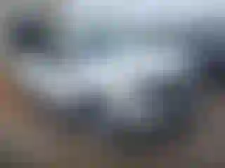 Vehicle Image- 2020 Chevrolet Silverado