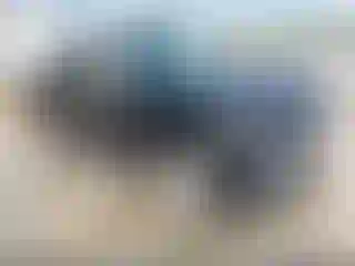 Vehicle Image- 2021 Chevrolet Silverado