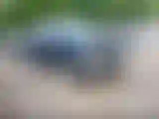 Vehicle Image- 2020 Chevrolet Silverado