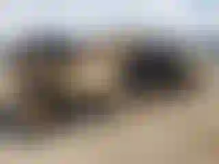 Vehicle Image- 2020 Chevrolet Silverado