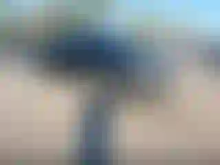 Vehicle Image- 2014 Chevrolet Silverado