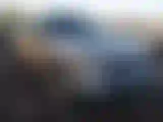 Vehicle Image- 2011 Chevrolet Silverado