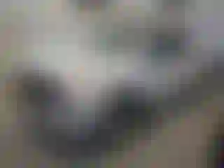 Vehicle Image- 2020 Chevrolet Silverado