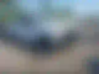Vehicle Image- 2021 Chevrolet Silverado