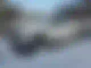 Vehicle Image- 2019 Chevrolet Silverado
