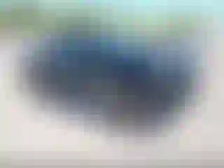 Vehicle Image- 2019 Chevrolet Silverado