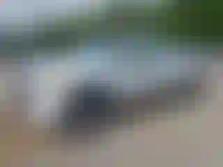 Vehicle Image- 2010 Chevrolet Silverado