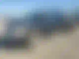 Vehicle Image- 2010 Chevrolet Silverado