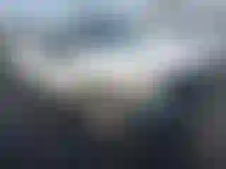 Vehicle Image- 2010 Chevrolet Silverado