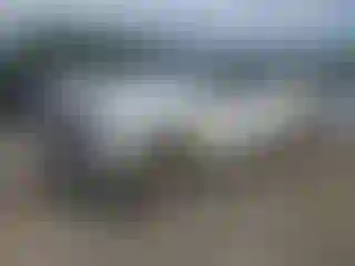 Vehicle Image- 2020 Chevrolet Silverado
