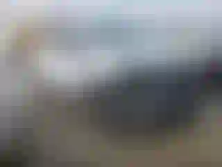 Vehicle Image- 2019 Chevrolet Silverado