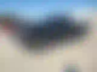 Vehicle Image- 2020 Chevrolet Silverado