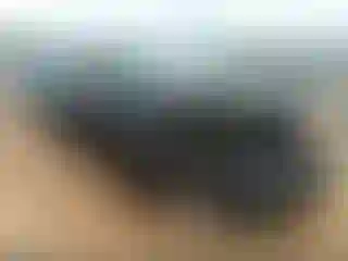 Vehicle Image- 2019 Chevrolet Silverado